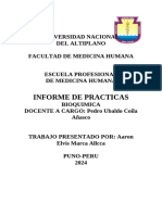 Informe Bioquimica Numero 4