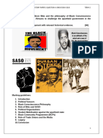 Steve Biko 2024 Essay