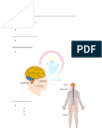 Unit 1.7 - What Does The Brain Do-Note