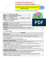 S12 - 3°-4° CyT 2022 - ROXANA - 04.07.2022 - Celula