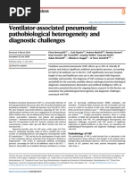 Ventilator Associated Pneumonia Pathobiological Heterogeneity and