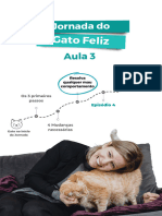 Jornada Do Gato Feliz PDF Aula 3