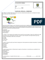 Modelo - Avaliações Do Bimestre