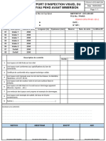 Rapport D'inspection Visuel Du Tuyau Pehd Avant Immersion