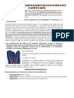 Endodoncia. Limpieza y Conformacion Cateterismo, Metodos de Longitud de Trabajo