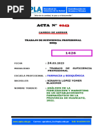 ACTA NÂ° 0243 - CAMBIO de ASESOR - Trabajo de Suficiencia Profesional - NINANYA LOPEZ YOMER BLADIMIR