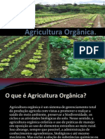 Agricultura Orgânica