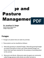 Forage and Pasture