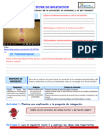 FICHA 5 - Comprendemos Las Estructuras Especiales de La Excreción en Animales y El Ser Humano