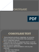 COAGULASE Test