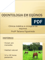 Odontologia em Equinos