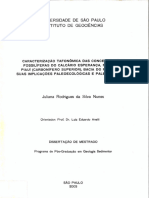 Tafonomia de Invertebrados Fósseis Da FM Piauí