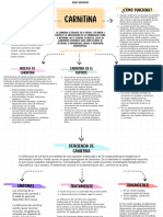 Organizador Gráfico - Carnitina - Dalay Balcázar