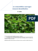 Plantes Sauvages Comestibles 003