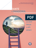 LIVRO - Durante A Pandemia