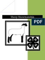 Sheep Showmanship