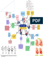 Mapa Mental - Ciclo Cardiaco