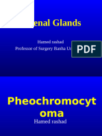 Pheochromocytoma The Lect