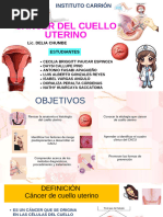 Exposición Cáncer de Cuello Uterino - 20240828 - 182249 - 0000