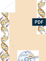 Lecture 6-0 DNA Replication