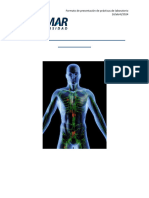 Practica 11. Sistema Endocrino, Piel y Tegumentos