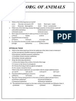 Structural 111 PDF