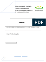 Mission D'audit Interne Dans L'activité Bancaire (Cas Banque Centrale de Mauritanie) Par SM O BrahimTfeil