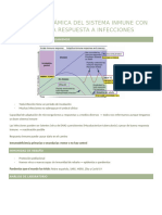 Visión Panorámica de Inmunodeficiencias Primarias o Defectos Innatos Del Sistema Inmune