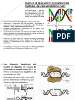 Adn Ante Aplicaciones - PPTX Expo