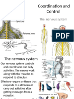 Chapter 12 Coordination and Control