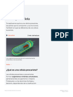 Célula Procariota - Concepto, Clasificación, Partes y Función