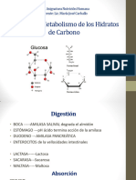 Metab de Los H de C