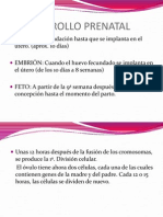 Desarrollo Prenatal (Algunas Definiciones)