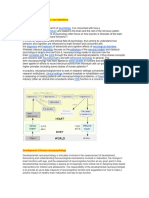 Neuro Notes