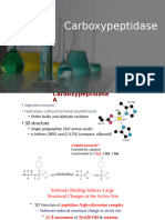 Carboxypeptidase