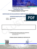 Certificado Cluster Francisco Castillo Manipulador Telescopico 400