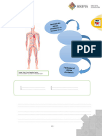 4to. Páginas 3 6 Apt - Circulatorio Sangre