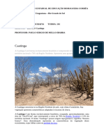 1 Ano Geografia Bioma Caatinga Caracteristicas Localização e Clima Aula 04 Novembro