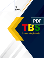 Manula de Imagen Corporativa TBS 2023