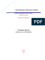 Atividade Prática RADIOLOGIA VETERINÁRIA