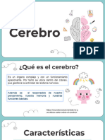 Cerebro