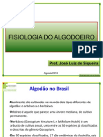  Fisiologia Do Algodoeiro