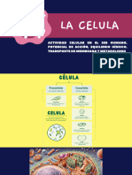 La Célula