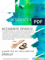 Accidente Ofidico