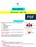 Excretion (Unit - 04)