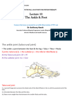 Lecture 10 The Ankle Joint 2023