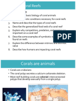 Bio20 - 14 - Coral Reefs - Color