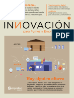 Innovacion para pYMES