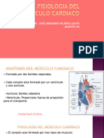 Fisiologia Del Musculo Cardiaco, Ciclo Cardiaco y Gasto Cardiacokdndndnnf