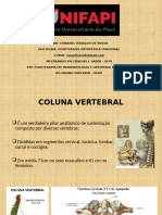 Aula 2 - Coluna Vertebral